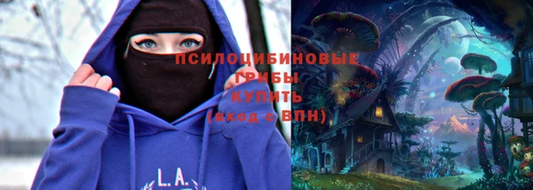 крисы Алексин