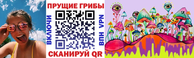 купить  сайты  MEGA ТОР  Галлюциногенные грибы ЛСД  Николаевск-на-Амуре 